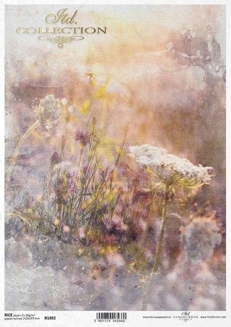 ITD Collection Rispapir A4 - 57