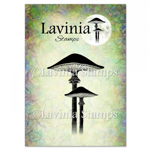 Lavinia Meadow Mushroom LAV563