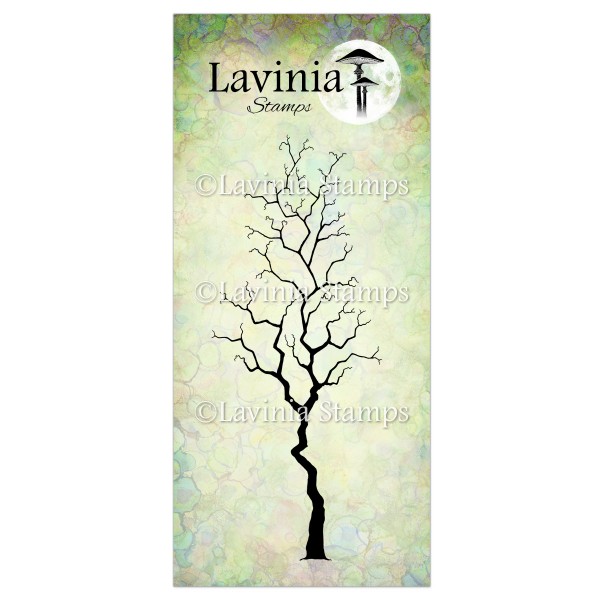 Lavinia Hazel LAV660