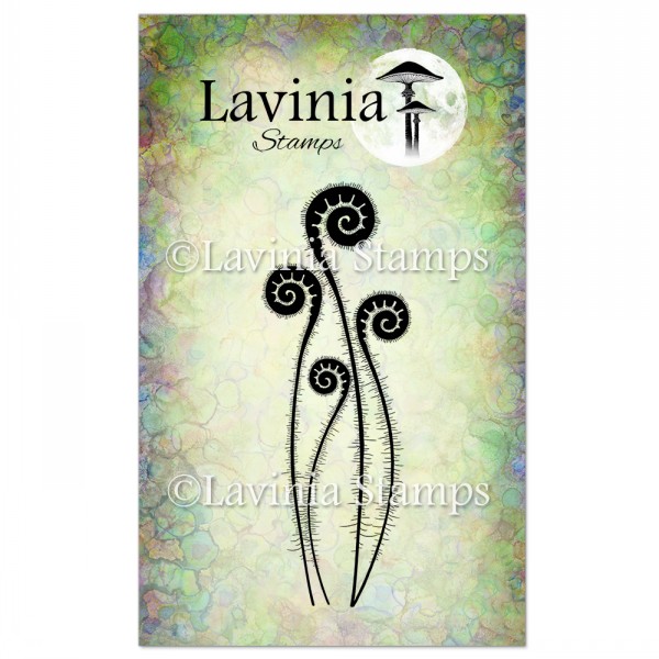 Lavinia Fern Heads LAV470