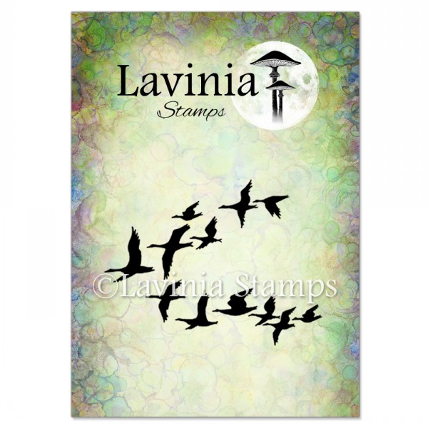 4994_image_42f8eec14ef7f8ed.jpg Lavinia Ducks LAV247