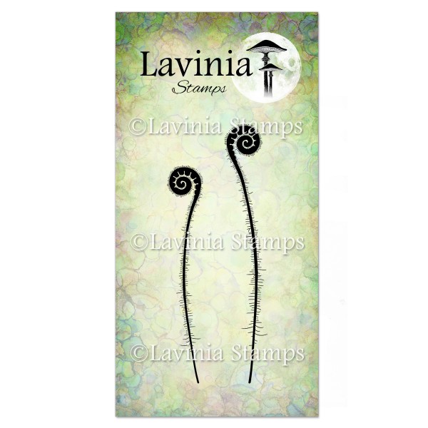 Lavinia Fern Heads Singles LAV462