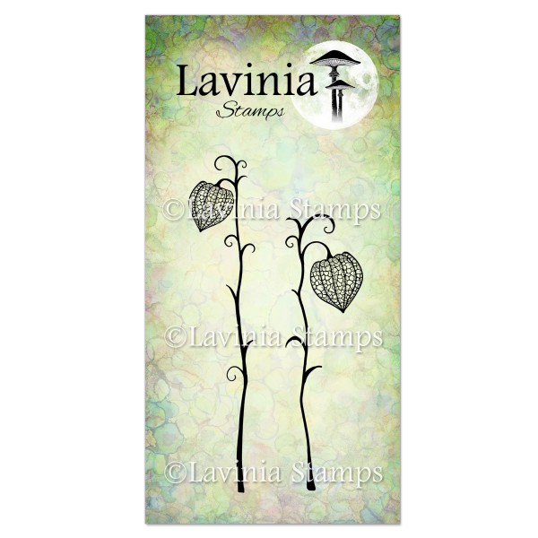 5055_image_b344d8ea770c49c5.jpg Lavinia Fairy Lanterns Set LAV586