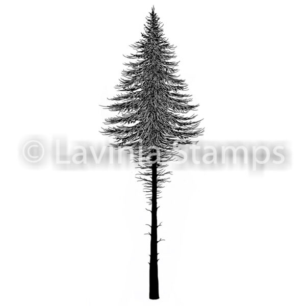 5183_image_f021cee573d89198.jpg Lavinia Fairy Fir Tree 2 LAV477