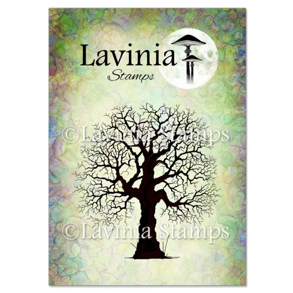 5195_image_66f8dd9ee36e270c.jpg Lavinia Oak Tree LAV186