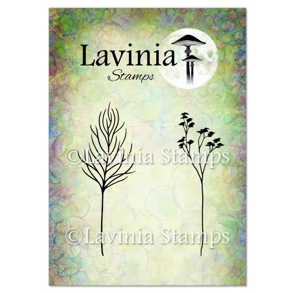 5230_image_33d8b03279b71008.jpg Lavinia Flora Set LAV698