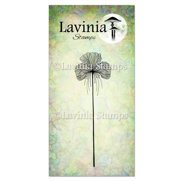 5243_image_52245fa70873f474.jpg Lavinia Single Fairy Orchid LAV548