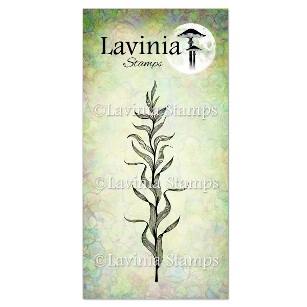 Lavinia Marine Kelp LAV625