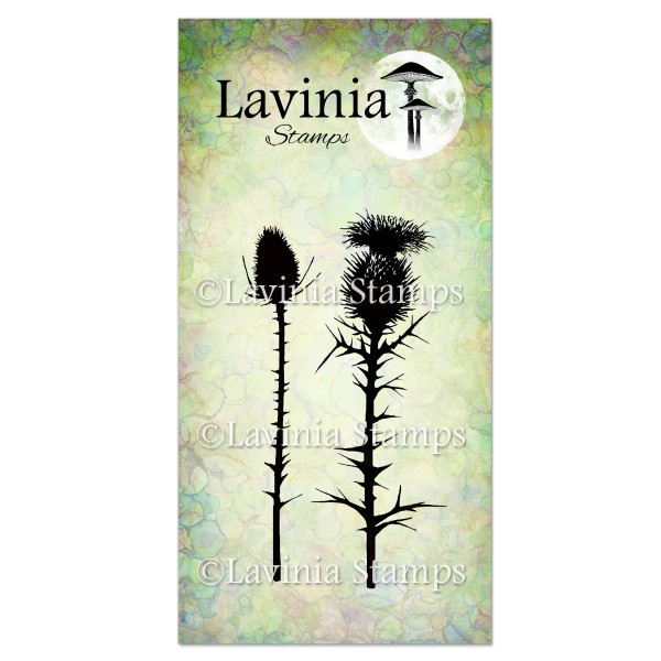 5296_image_ad434f3670ca5ff1.jpg Lavinia Thistles LAV117