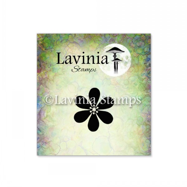 5300_image_5ebe51fbfbfa8d29.jpg Lavinia Single Flower Miniature LAV214