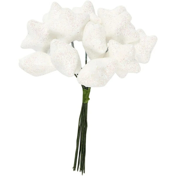 748.jpg Stjerner,Hvite-12stk