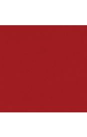 7815_image_f911443447e018c7.jpg Bazzill Cherry Splash