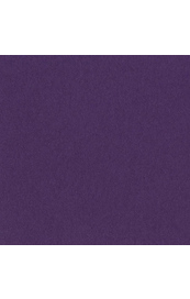 7819_image_5ebae1e38ec3d7f1.jpg Bazzill Boysenberry Delight