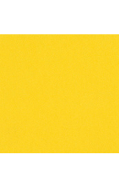 Bazzill Grapefruit Bliss