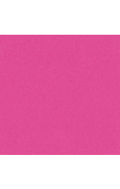 Bazzill Watermelon Sensation