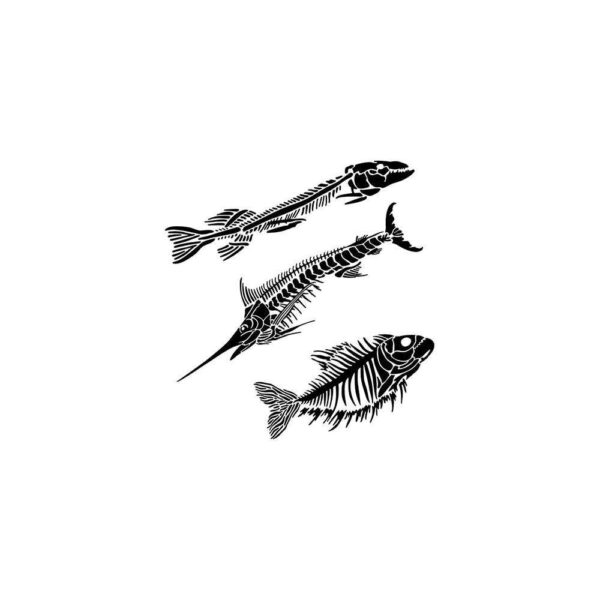 7925_image_1c0a6167b1257fb2.jpg Crafter's Workshop Stencil Fish Fossils