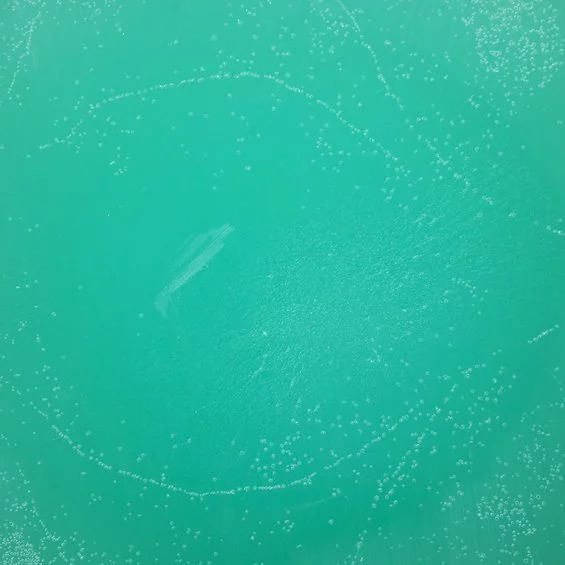 8342_image_0d883500f7604c4a.jpg Pigmentfarge 4g Turkis