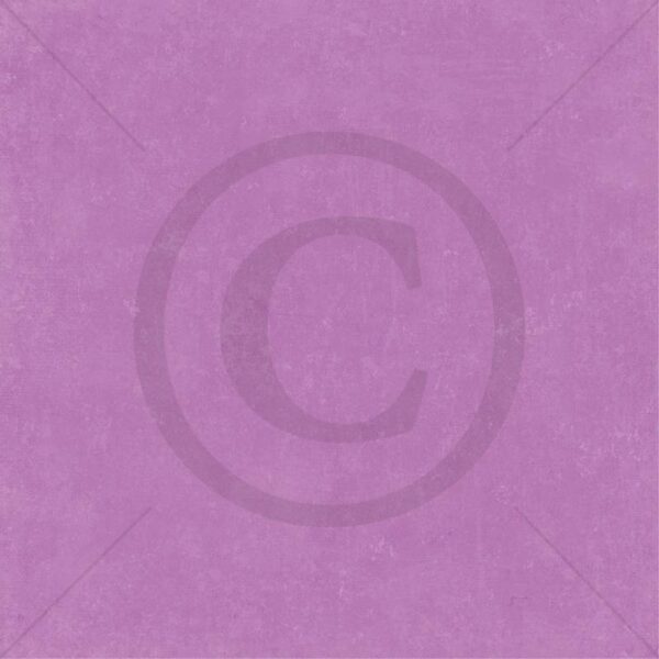 8586_image_0919a342d9f1a4e0.jpg Vårstemning Lilla