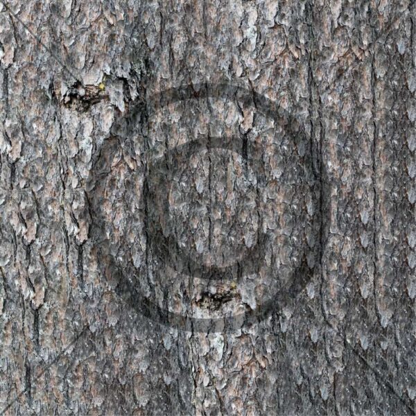 Papirdesign Furubark