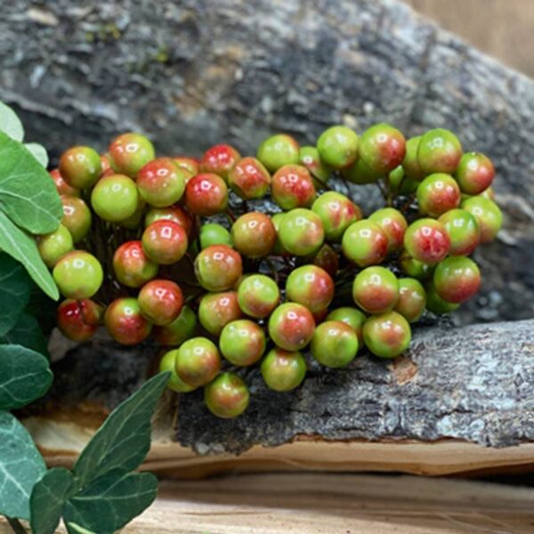 8820_image_35f53f4e9d716882.jpg Bær - Grønn og Rød