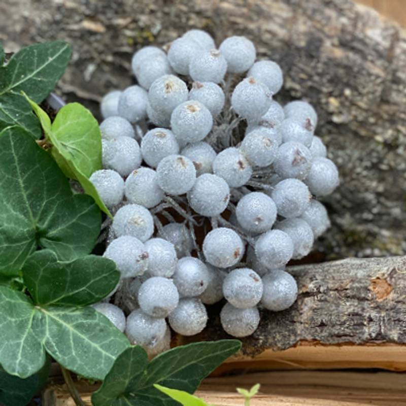 Bær 09, sølv med sukker - Bilde 1