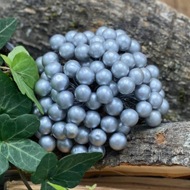 Bær - Sølv - Bilde 1