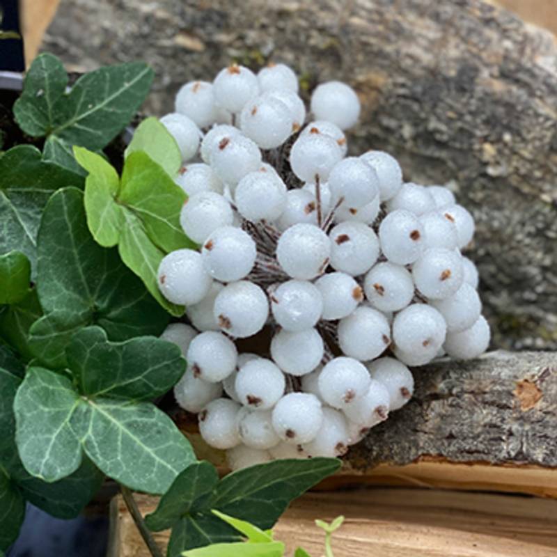 Bær 06, hvit med sukker - Bilde 1