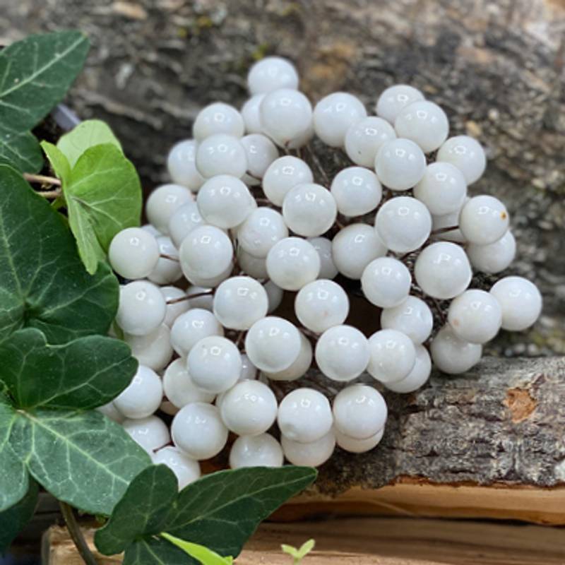 Bær - Hvit - Bilde 1