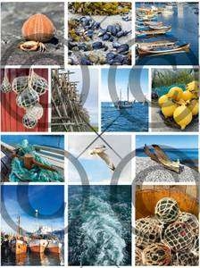 8994_image_89b135d6b7bb4514.jpg Papirdesign Motivark-Sjøklipp