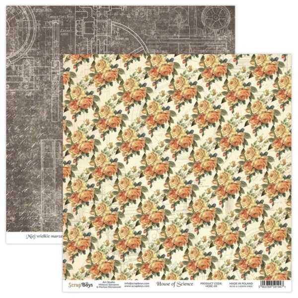 9851_image_6d0712ba401aa941.jpg ScrapBoys House of Science 04